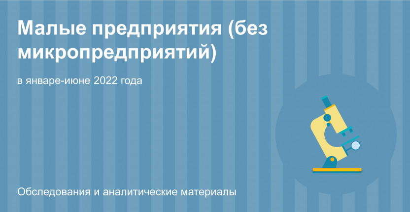 Малые предприятия (без микропредприятий) Костромской области в январе-июне 2022 года